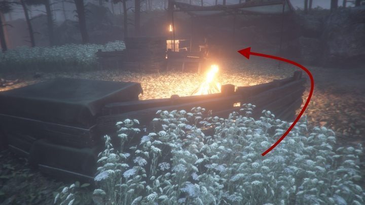 Despite the length of the stage, you will find two curiosities - A Plague Tale Innocence: Curiosities - list of all - Secrets and collectibles - A Plague Tale Guide