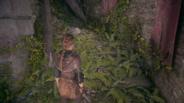 The second curiosity is the Bird Language Manual - A Plague Tale Innocence: Curiosities - list of all - Secrets and collectibles - A Plague Tale Guide