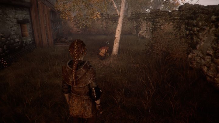 At this stage, you will find Gladioli - A Plague Tale Innocence: Hugo Herbarium - list of all flowers - Secrets and collectibles - A Plague Tale Guide