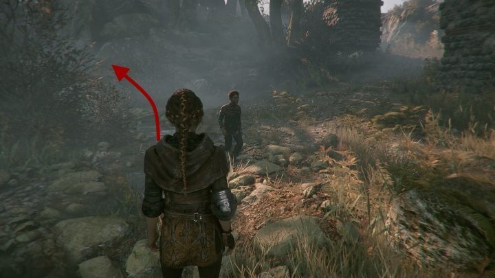 At this stage, you will find Hawthorn - A Plague Tale Innocence: Hugo Herbarium - list of all flowers - Secrets and collectibles - A Plague Tale Guide