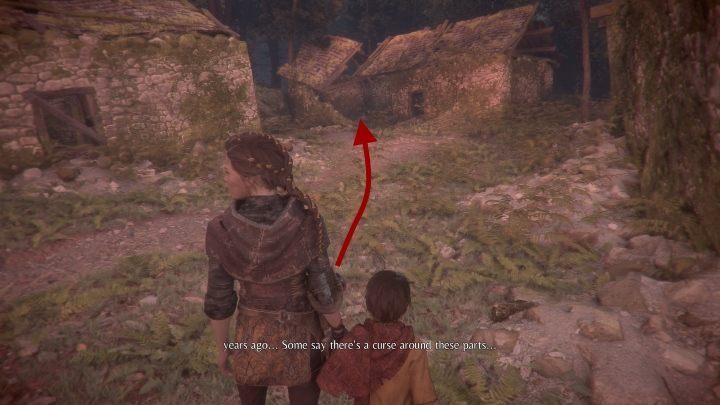 The plant, which you will find in this section - St - A Plague Tale Innocence: Hugo Herbarium - list of all flowers - Secrets and collectibles - A Plague Tale Guide