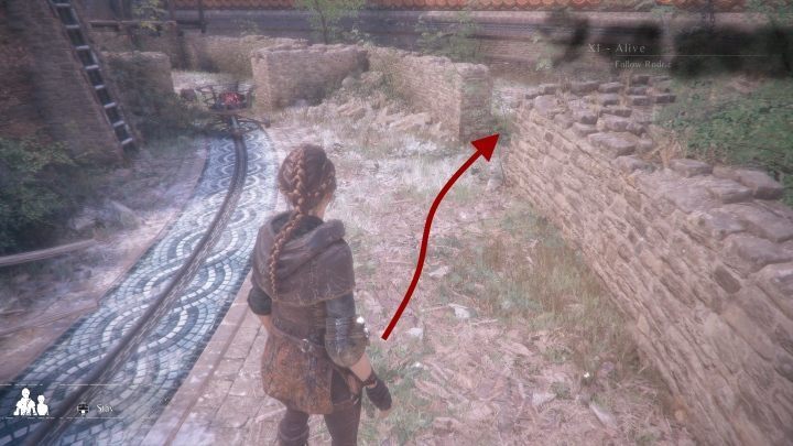 Here, you will find Cinquefoil - A Plague Tale Innocence: Hugo Herbarium - list of all flowers - Secrets and collectibles - A Plague Tale Guide