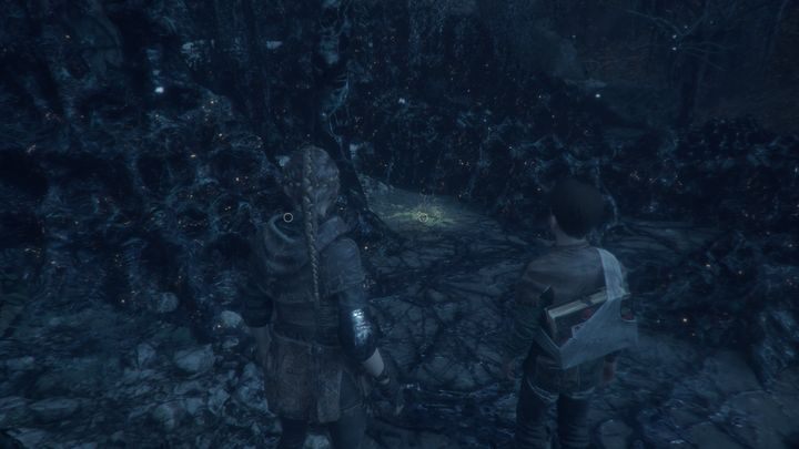 You can find Daffodil immediately after you release Hugo - A Plague Tale Innocence: Hugo Herbarium - list of all flowers - Secrets and collectibles - A Plague Tale Guide