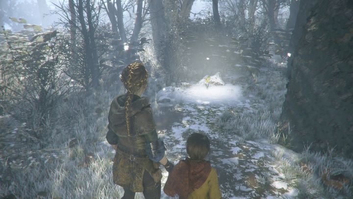 Black Nightshade can be found in the square, where the captain has a conversation - A Plague Tale Innocence: Hugo Herbarium - list of all flowers - Secrets and collectibles - A Plague Tale Guide