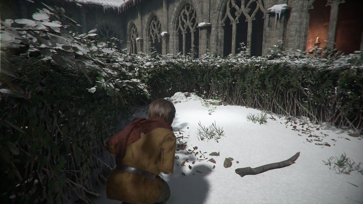 In this chapter, you can find Rockfoils - A Plague Tale Innocence: Hugo Herbarium - list of all flowers - Secrets and collectibles - A Plague Tale Guide