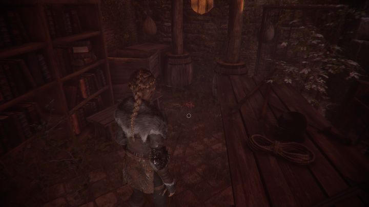 You get attacked during the part where you have to knock the door of the burning building - A Plague Tale Innocence: Hugo Herbarium - list of all flowers - Secrets and collectibles - A Plague Tale Guide