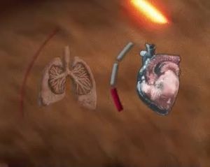 The items icon appears right next to the lungs - Protagonists stats | Agony - Starting Tips - Agony Game Guide