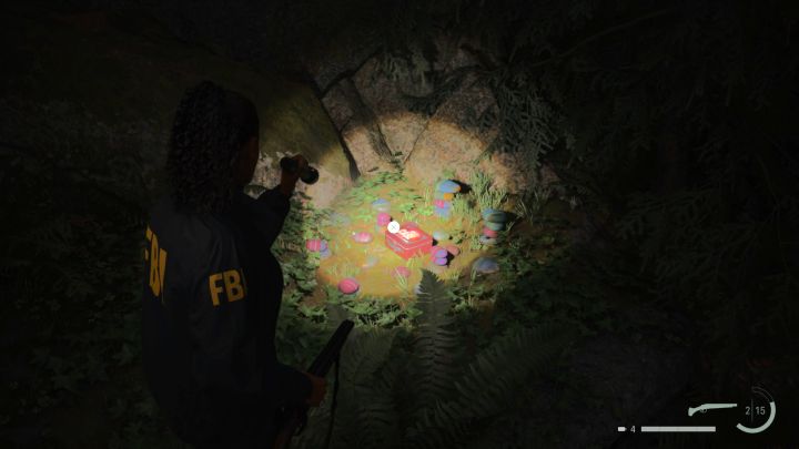 13 - Alan Wake 2: All Lunchboxes in Cauldron Lake - Return - Saga Anderson - Alan Wake 2 Guide