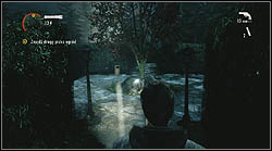 Next sheet lies in the maze, next to a tree - Alan Wake: Episode 4 The Truth - list of manuscript pages - Manuscript - Alan Wake Game Guide & Walkthrough