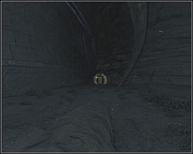 Canister is in the corner of the area, near the building that will be available to enter after you will press three platforms - Canisters - Ruins - Canisters - Aliens vs Predator - Game Guide and Walkthrough