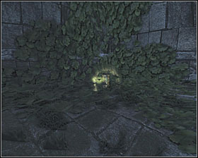 When you will enter the arena go down and turn right - Canisters - Ruins - Canisters - Aliens vs Predator - Game Guide and Walkthrough