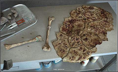 Return to the lab - Clean the bones - Day 1 - Alpha Polaris - Game Guide and Walkthrough