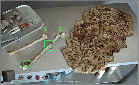Zoom in the bones: cleansed humerus (1) and cleansed femur (2) - Examine bones left in the hood - Day 2 - Alpha Polaris - Game Guide and Walkthrough