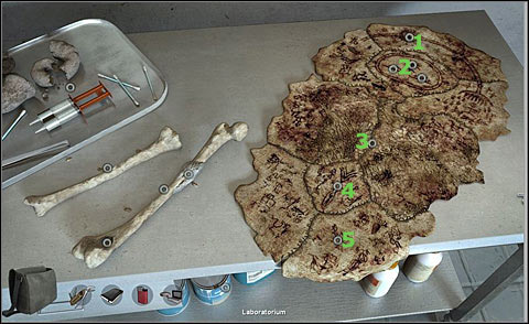 Examine the hide also and markings you can find on it - Examine bones left in the hood - Day 2 - Alpha Polaris - Game Guide and Walkthrough