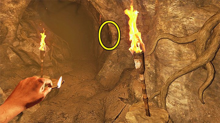 When going through the caves, stop at the place where you can light 2 torches - Amnesia Rebirth: The Deeper Caves - walkthrough, secrets - Transition description - Amnesia Rebirth Guide