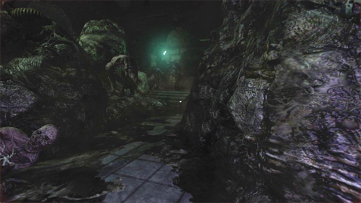 You will enter a room with a large number of sleeping monsters - Amnesia Rebirth: The Catacombs - walkthrough, secrets - Walkthrough - Amnesia Rebirth Guide