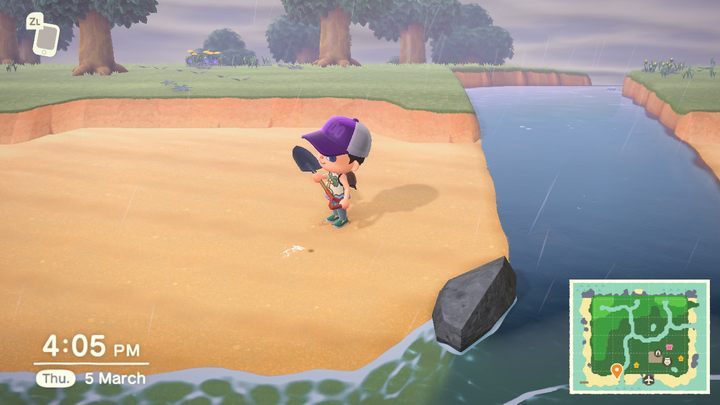 Look for places like this. - ACNH: Gulliver - how to help, what to do? Rewards - Characters visiting the island - Animal Crossing New Horizons Guide