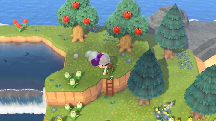 Here we go. - ACNH: Ladder - how to get to the upper part of the island? - Items - Animal Crossing New Horizons Guide