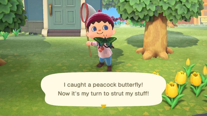 Gotcha! - ACNH: Insects - how to catch? - Items - Animal Crossing New Horizons Guide