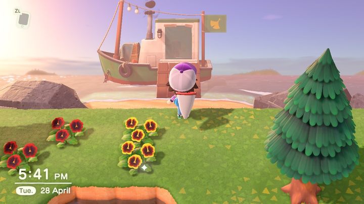 This is Redds ship. - ACNH: Redd - how to meet? - Characters visiting the island - Animal Crossing New Horizons Guide