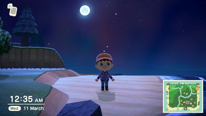 At night, you can catch different insects or fish than during the day. - Animal Crossing New Horizons Guide