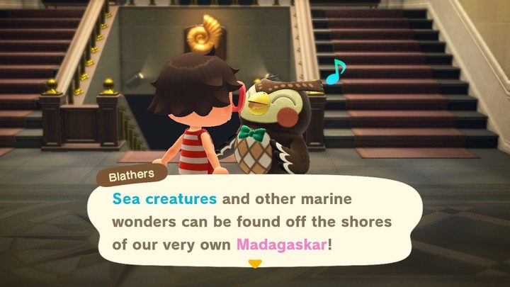 Blathers will gladly accept all the sea creatures you bring to him. - ACNH: Sea creatures - how to catch? - Items - Animal Crossing New Horizons Guide