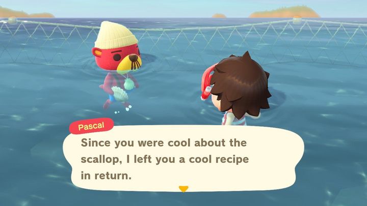 This is Pascal. - ACNH: Pascal - location, scallops, DYI recipes - Characters staying on the island - Animal Crossing New Horizons Guide