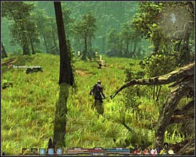 4 - Quests - p. 1 | Marshlands Side Quests - Marshlands - Arcania: Gothic 4 Game Guide