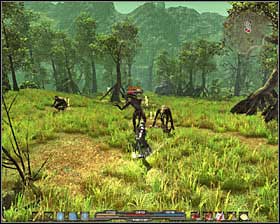 2 - Quests - p. 1 | Marshlands Side Quests - Marshlands - Arcania: Gothic 4 Game Guide