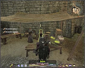 Kill them and take three pondweeds #1 - Quests - p. 3 | Silverlake Side Quests - Silverlake - Arcania: Gothic 4 Game Guide