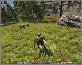 Quest giver: Craglan [North Silverlake - Battlefield] - Quests - p. 2 | Silverlake Side Quests - Silverlake - Arcania: Gothic 4 Game Guide