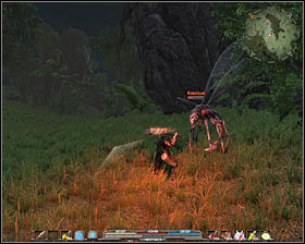 You have to get to the main road leading north #1 but it will be guarded by some undeads (M10, 8) connected with one side quest - Quests - p. 2 | The Black Gorges and the Jungle Main Quests - The Black Gorges and the Jungle - Arcania: Gothic 4 Game Guide