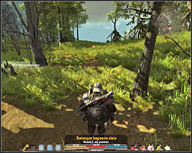 6 - Quests - p. 7 | Marshlands Main Quests - Marshlands - Arcania: Gothic 4 Game Guide