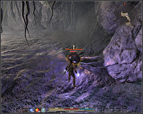 After a while, you will get to the Loam Vermin Queen #1 - Quests - p. 5 | Prologue - Prologue - Arcania: Gothic 4 Game Guide