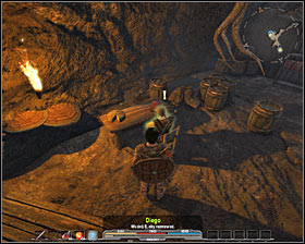 Quest giver: Ivy [Feshyr] - Quests - p. 4 | Prologue - Prologue - Arcania: Gothic 4 Game Guide