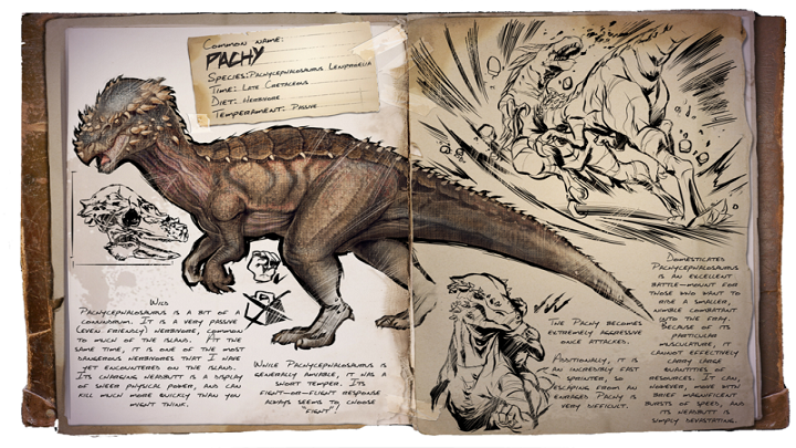 Pachy is a dinosaur capable of stunning an enemy, all thanks to its hard head - ARK: Creatures useful at taming - most useful - Most useful dinosaurs - ARK Survival Evolved Guide