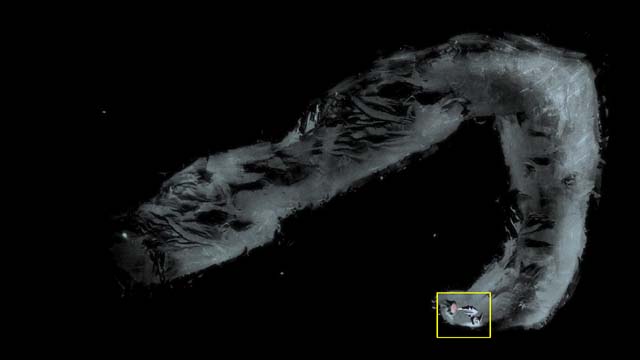 On the bottom of this tunnel is red button, push it and go back (left, then down) - Cavern - Second tower - Armikrog - Game Guide and Walkthrough