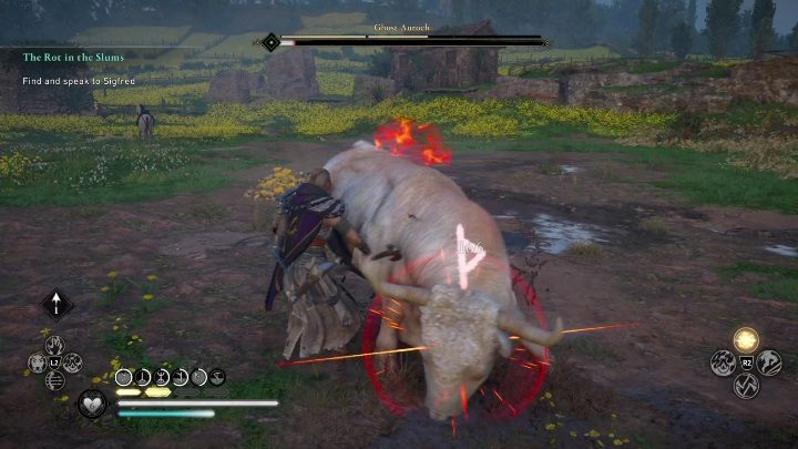 Defeating this opponent should not be a problem - AC Valhalla Siege of Paris: Legendary Animal, Amienois - secrets, locations - Amienois - Assassins Creed Valhalla Guide and Walkthrough