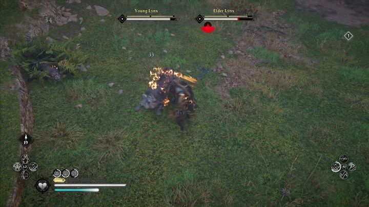 Go to this opponent with full health, rations and full adrenaline bar - Assassins Creed Valhalla: Legendary Animal - Hamtunscire secrets, locations - Hamtunscire - Assassins Creed Valhalla Guide and Walkthrough