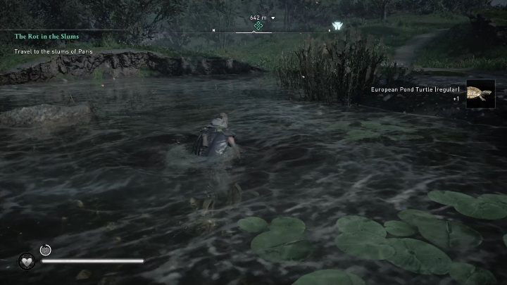 You will find the turtles in a small pond a hundred metres north of the altar - AC Valhalla Siege of Paris: Offering Altar, Melunois - secrets, locations - Melunois - Assassins Creed Valhalla Guide and Walkthrough