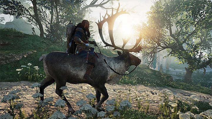During your stay in Asgard, you will use an alternative mount - Assassins Creed Valhalla: Can you own a pet? - Eivor - Assassins Creed Valhalla Guide and Walkthrough