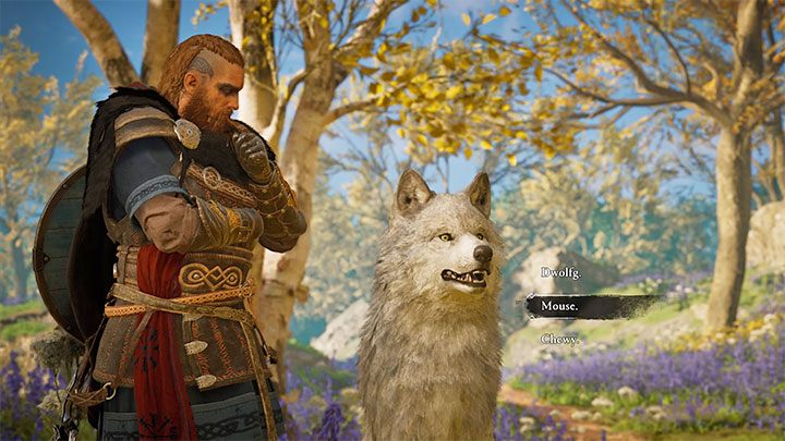 After going upstairs it will turn out that the wolf is tame and has friendly intentions - Assassins Creed Valhalla: Can you own a pet? - Eivor - Assassins Creed Valhalla Guide and Walkthrough
