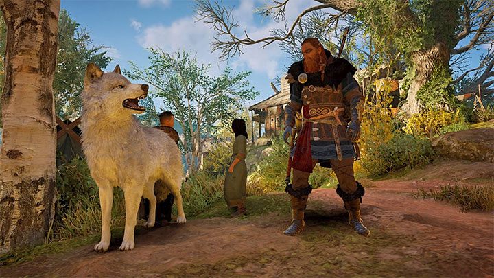 As a reward for completing the quest you will gain Man's Best Friend ability It allows you to summon the wolf and use it to attack enemies - Assassins Creed Valhalla: Can you own a pet? - Eivor - Assassins Creed Valhalla Guide and Walkthrough