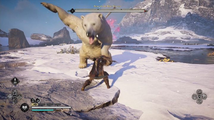 Bear's attacks are quite chaotic, but easy to avoid - Assassins Creed Valhalla: Legendary Animal - Hordafylke secrets, locations - Hordafylke - Assassins Creed Valhalla Guide and Walkthrough