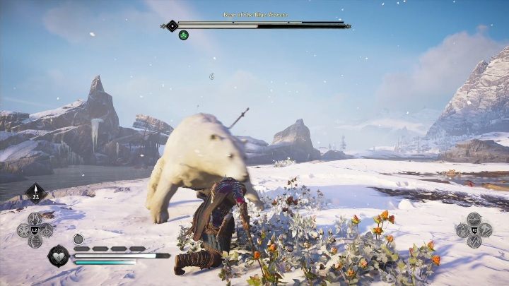 The bear's weak point is on its back, where the knife is stuck - Assassins Creed Valhalla: Legendary Animal - Hordafylke secrets, locations - Hordafylke - Assassins Creed Valhalla Guide and Walkthrough