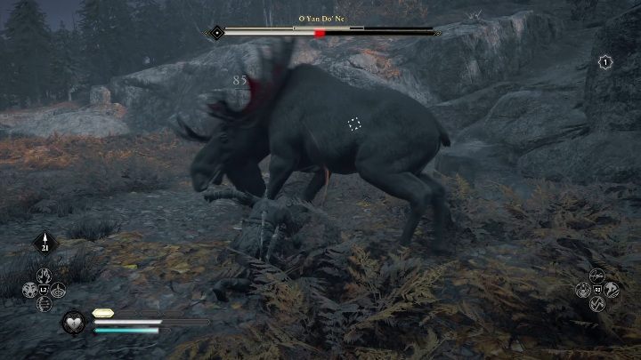 In the arena you will find many healing mushrooms, so you can get some recovery during the battle - Assassins Creed Valhalla: Legendary Animal - Vinland secrets, locations - Vinland - Assassins Creed Valhalla Guide and Walkthrough