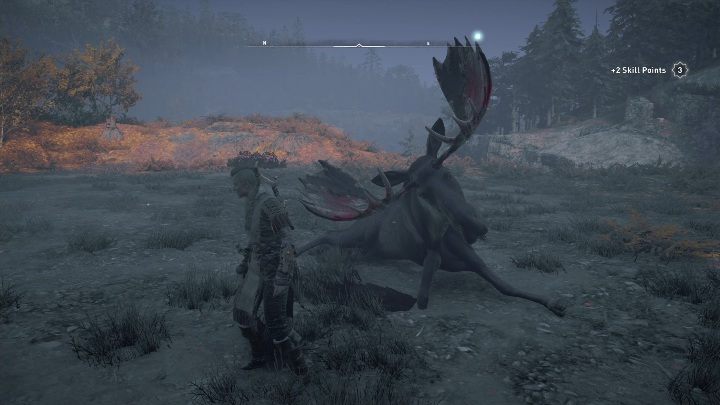 For defeating the bear, you will get its head and 129 pieces of leather - Assassins Creed Valhalla: Legendary Animal - Vinland secrets, locations - Vinland - Assassins Creed Valhalla Guide and Walkthrough