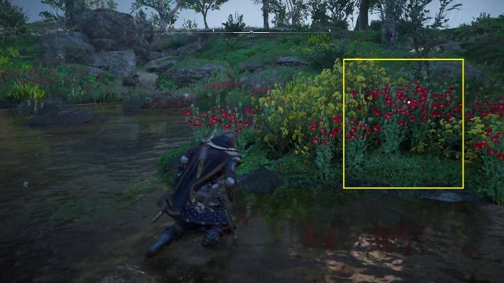 The schematic lies among the flowers, on one of the small islets in the middle of the lake - Assassins Creed Valhalla: Treasure Hoard Map - Suthsexe secrets, locations - Suthsexe - Assassins Creed Valhalla Guide and Walkthrough