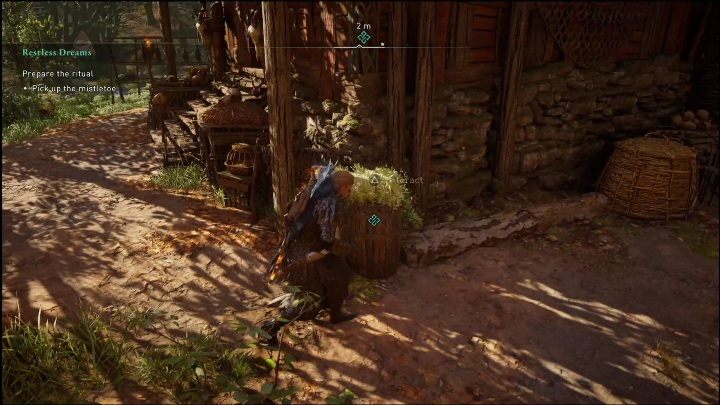 You now have to prepare a ritual - AC Valhalla Dawn of Ragnarok: Restless Dreams - Walkthrough - Assassins Creed Valhalla Guide and Walkthrough