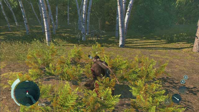 Bushes - dense and tall bushes which grow between trees and beside stream shores can be used to hide as well - Hideouts in Assassins Creed III Remastered - Exploration - Assassins Creed III Game Guide & Walkthrough